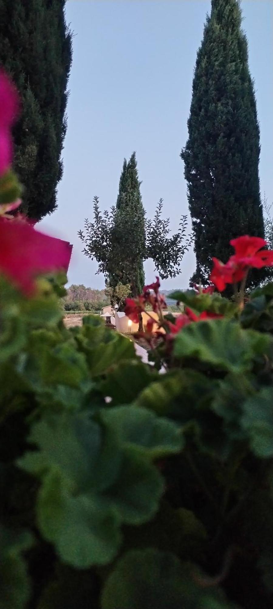 I Salici Agriturismo Badia Agnano Exterior foto