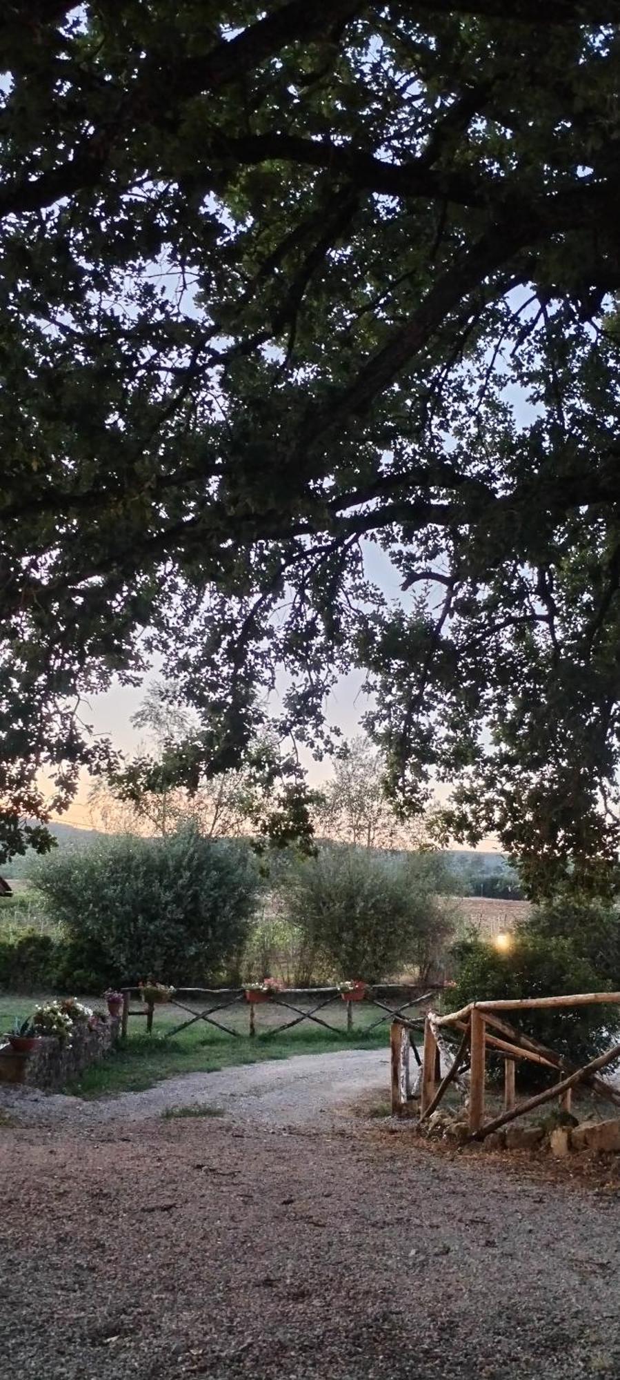 I Salici Agriturismo Badia Agnano Exterior foto