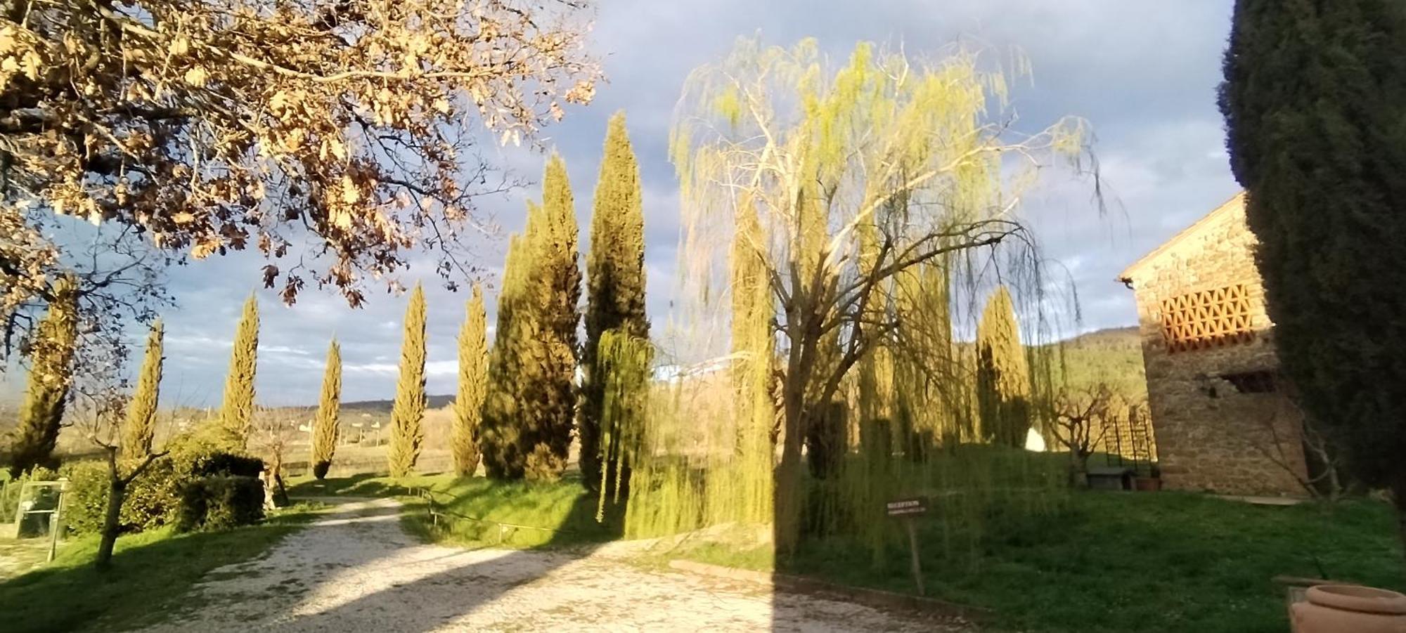 I Salici Agriturismo Badia Agnano Exterior foto